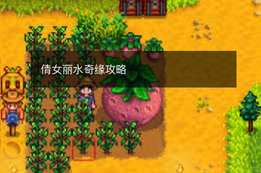 倩女丽水奇缘攻略